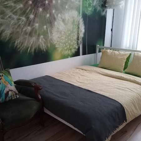 Apartament Pod Wrona Stary Toruń エクステリア 写真